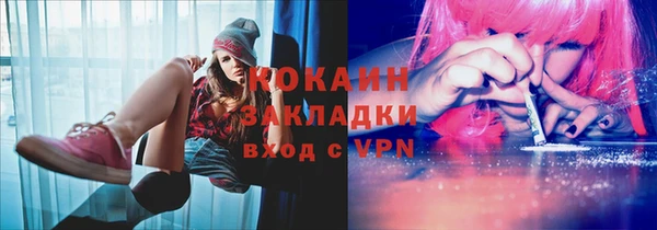 прущая мука Вяземский