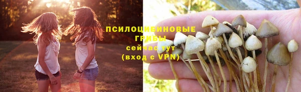 дурь Вязьма