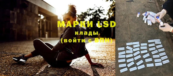сатива Горно-Алтайск
