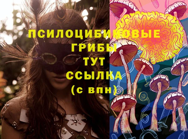 дурь Вязьма