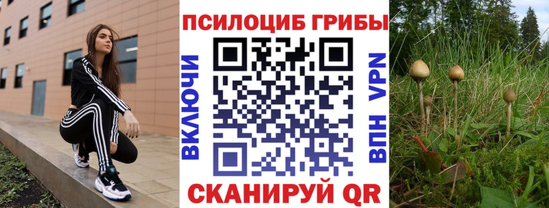 Купить закладки  Лысьва  Галлюциногенные грибы Psilocybine cubensis 